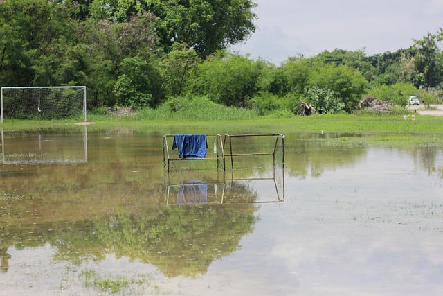 篮球篮网球迷热议球队表现